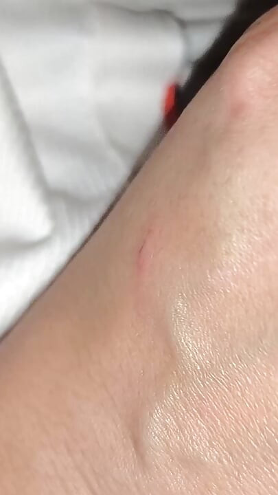 Cea mai bună labă cu muie arabă îmi fute soția