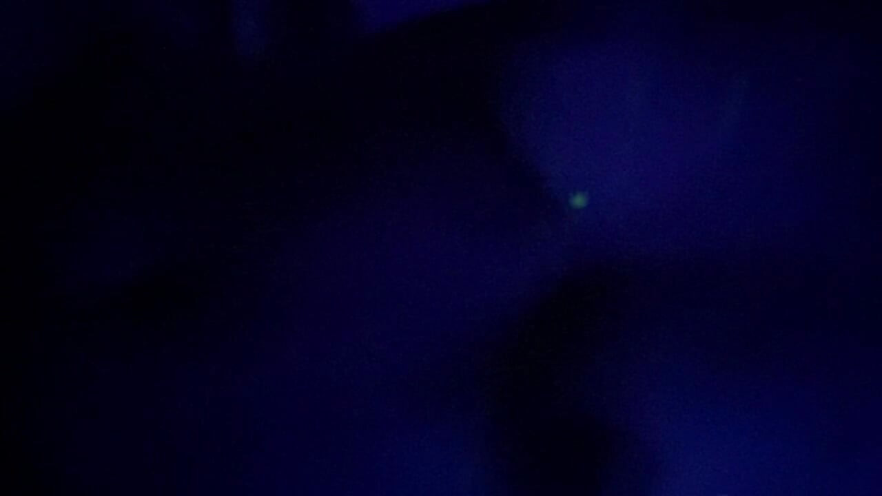 En video af en elev, der har sex med sin kæreste