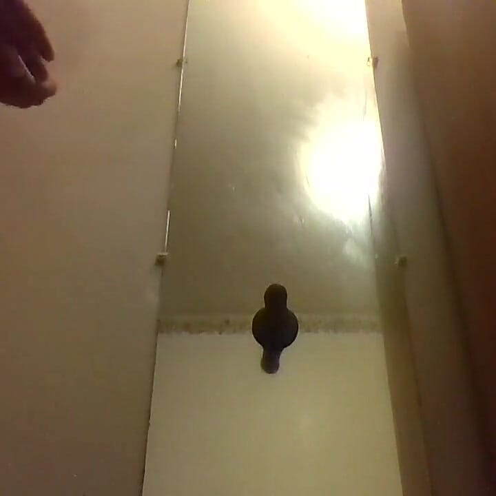 Mirrror göt tıkacı oyunu uzun zamandır sikişiyorum