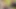 vip4k. kreditur mengizinkan milf untuk bersenang-senang dengan penisnya di kantor