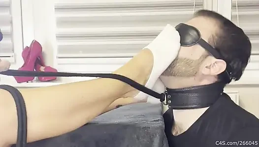 Blindfolded Foot Slave on a Leash - Smelly Socks Sniffing (Part 1)