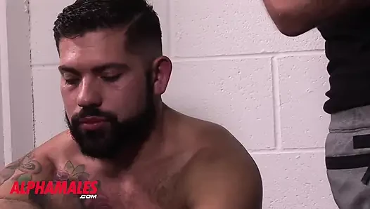 Alphamales.com - Fuck in the sports locker room between manly guys