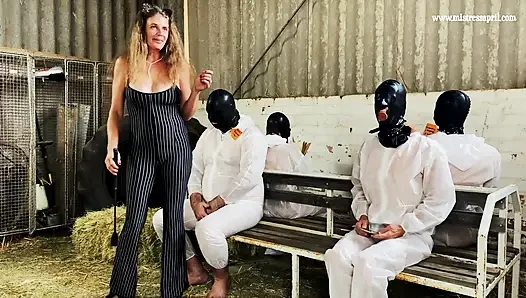Dominatrix Mistress April - The Super Ball Event
