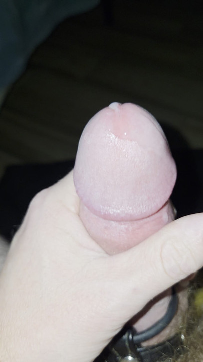 Sesi melancap petang