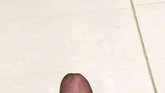 Büyük Arap dölü