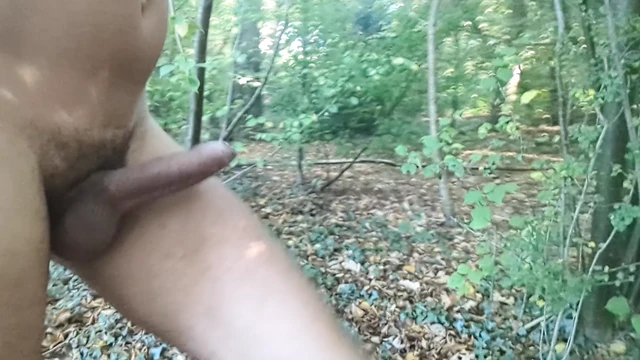 Cock out in the woods