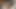 Japon kız tıraşsız amının porno videoda şovu çalmasına izin veriyor
