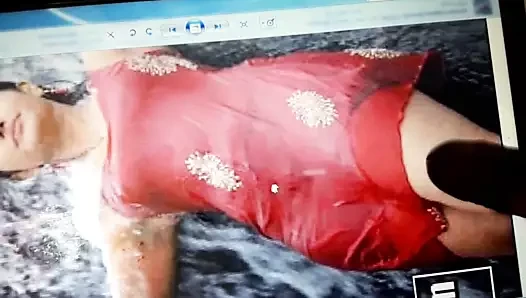 Neeru Bajwa porn video – Cum tribute To Poonam Bajwa#2