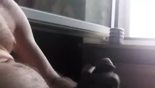 kamu direği