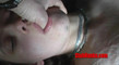 Pregled videozapisa