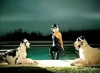 Lady Gaga bj comp.