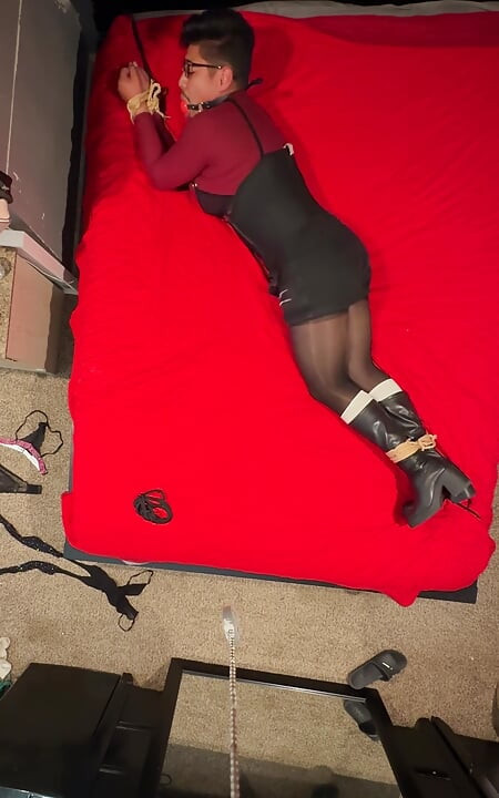 Ada Wong bound to bed