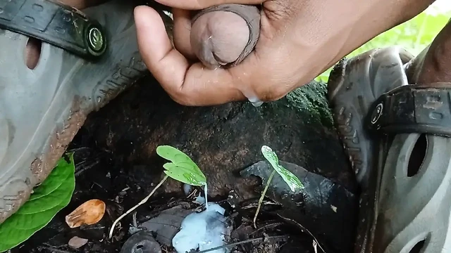Big cock masturbate.