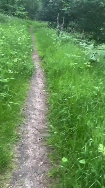 Key moment from "Walking bare foot and naked from car for an in forest for a wank"