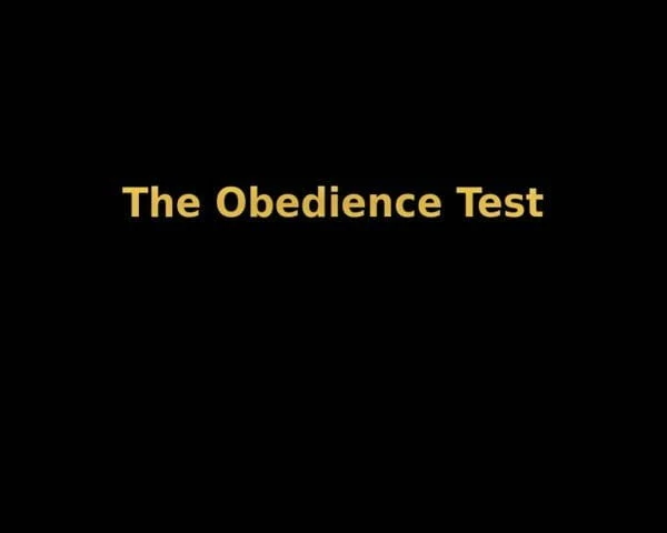 Slave's obedience Test