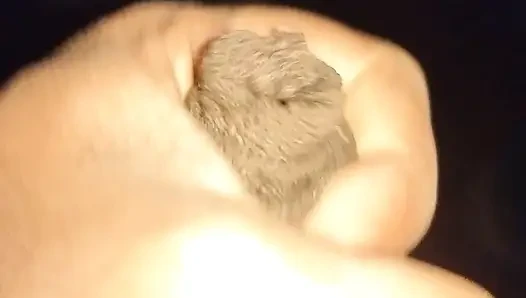 Dedicating my cock to boss wife sherya the bitch slutty whore