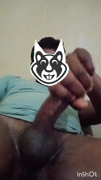 Desi gay nadržené honění