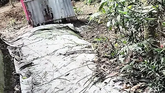 Stille schönheit meines gartens