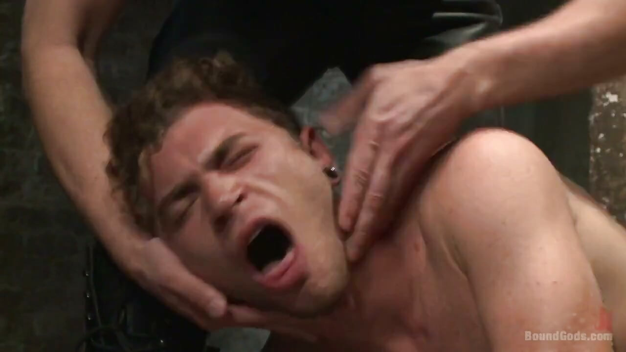 Take the suffering & suck that cock!