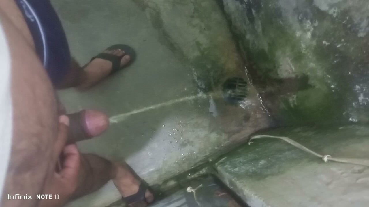 Toilet karte hai pissy