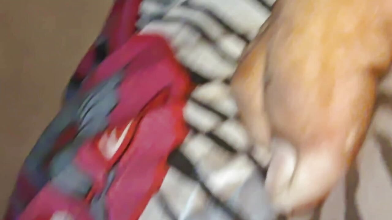 I made my little stepsister suck my cock and then fucked her.