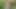 A hot and cute girl best sex video in jungle,jungles indian desk aunt sex video in jungle