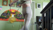 Pregled videozapisa