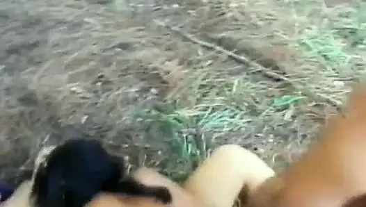 Ateşli tatlı kızlar ıslak amcıkları büyük bir direk tarafından sert sikilirken tadını çıkarıyor