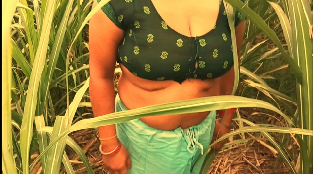 Sexy Bhabhi Ki Chudai Sugarcane Ke Khet Mein Indian Sex Video