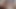 Zwei muskel-MILfs teilen sich einen schwarzen schwanz