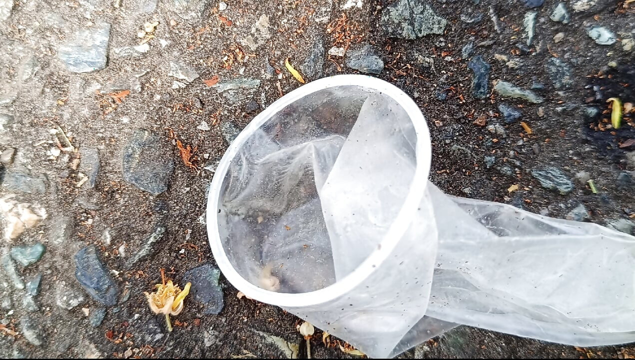Used condom 7