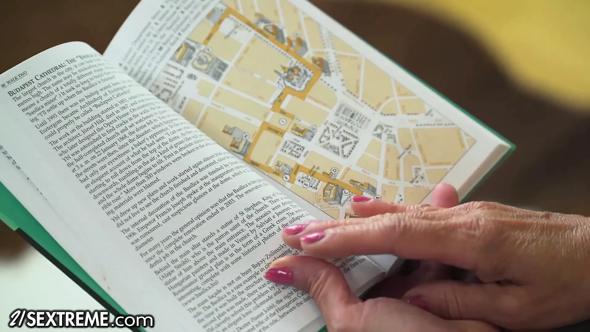 Jonge blondine zoent met de oude bibliothecaris van de universiteit