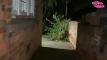 Aperçu de la vidéo
