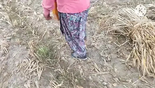 Gehu kat ti huyi female majdoor ki choot chudayi kari doggi style me