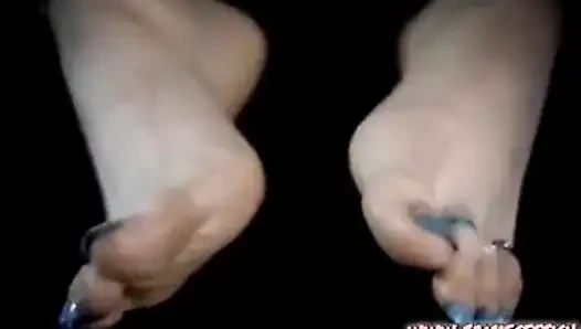 Blue Frenctip