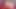 BOBSTGIRLS - 角質のアジアのレディーボーイがあなたのために自慰行為をします