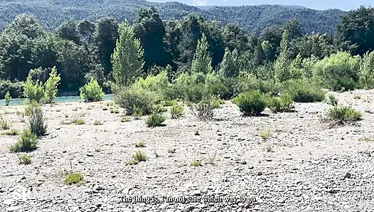 Ormanda kızla tanışıyorum ve sonunda sikişiyoruz