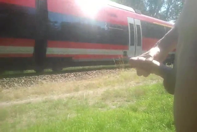 train flash 7