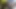 Bugün sizin için Ev Videoları