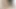 Kirli flix - rüya kedi derin yağ masajı