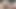 I Suck to Get a Close-up Pulsating Oral Creampie, Show Cum, and Then Swallow Every Drop!