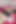 美しいヒジャブをかぶった学生の女の子と彼女が喘ぐまでセックスする。アジア系学生