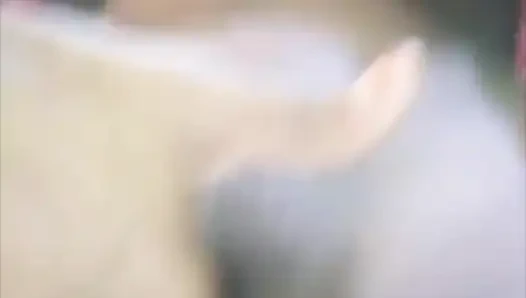 Vation master gadis imut Bangladesh