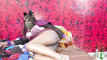 Pregled videozapisa