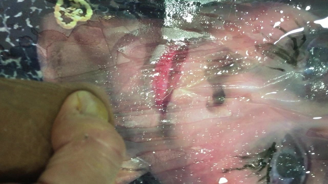 Pacific cumslut Johanna