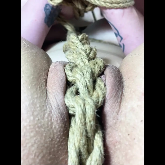 Panty, Bikinis, Tits & Suzy Wylde Circa 2013 - 2023