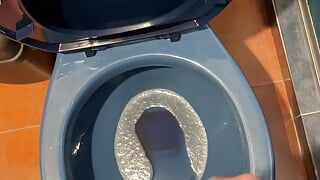 Pee and cum in the WC
