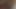 Hetero-Latina, ohne Gummi, POV und nimmt Sperma in den Mund