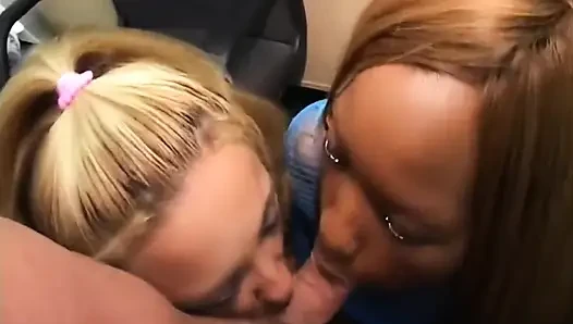 Black and White Sluts Cooperate to Suck a Huge Cock