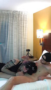 Pregled videozapisa